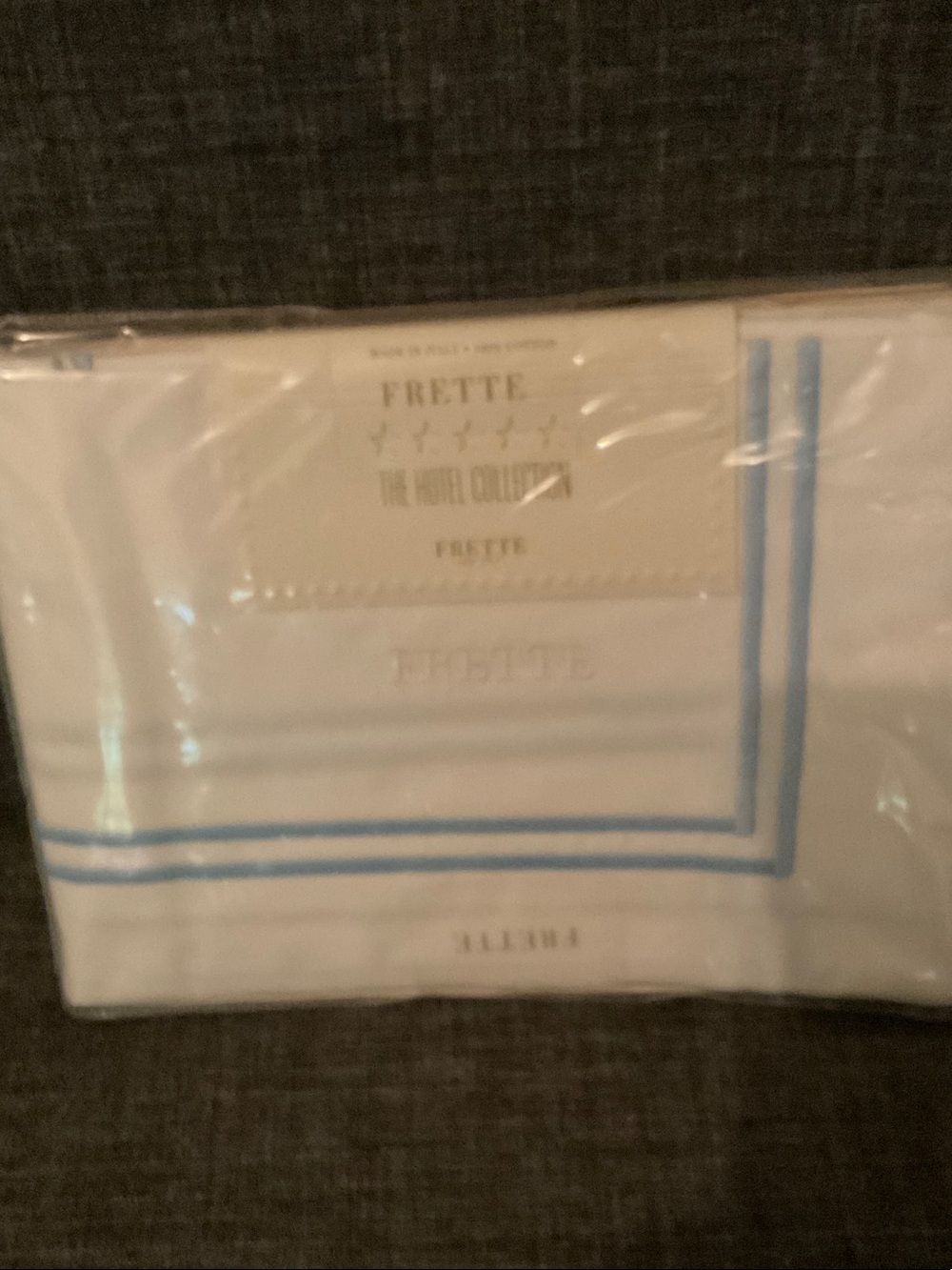 NEW FRETTE 26” square euro pillow sham white with pale blue stripe Hôtel